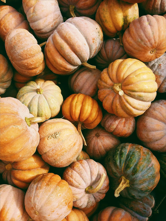 Pretty in Pumpkin